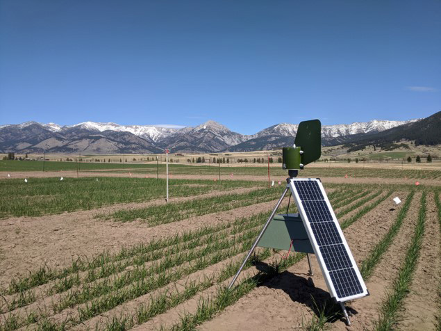 Decorative photo of a tripod in a field with attached solar panel and anemometer